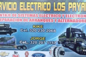 Servicio eléctrico Los Payares