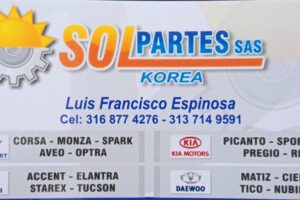 Almacén de autopartes y repuestos Sol Partes Korea SAS