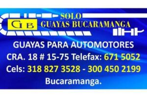 Solo Guayas Bucaramanga