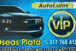 Auto lujos VIP