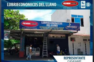 lubrieconomicos del llano SAS