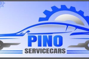 Service cars Pino