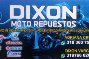 Dixon moto repuestos