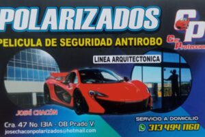 Polarizados Car protección